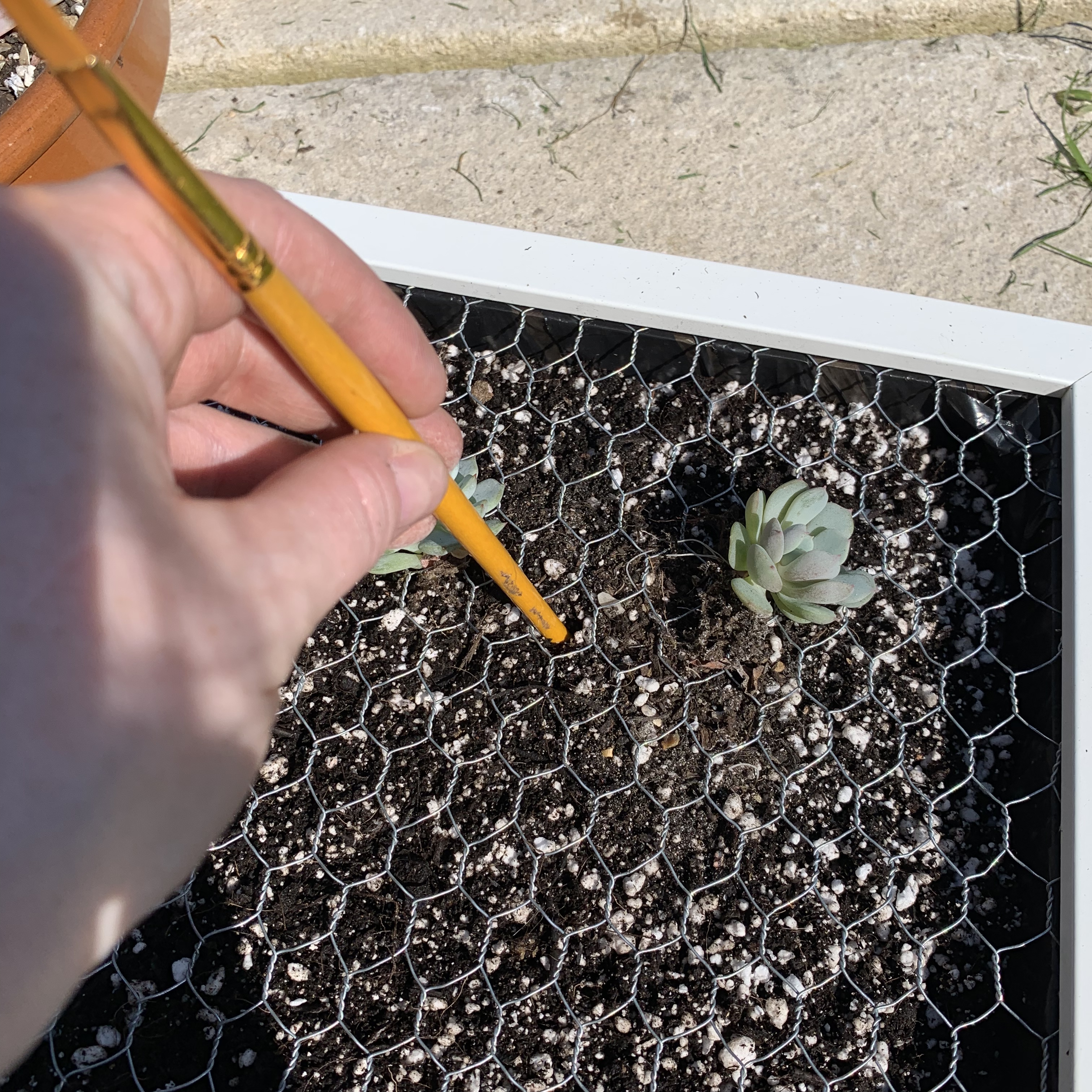 How to make a succulent box frame planter - Little Terraced House